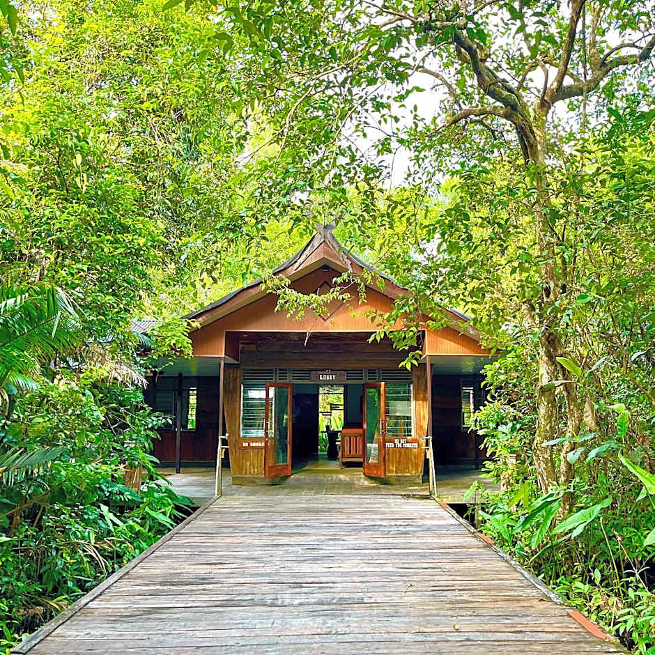 Rimba Orangutan Ecolodge 