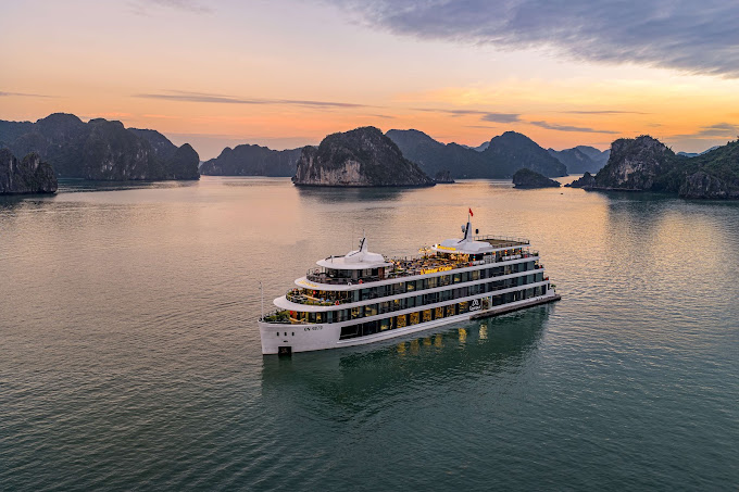 Amour Cruise 