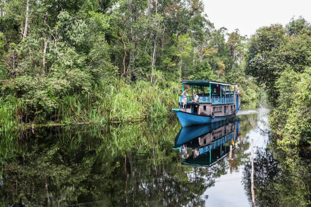  Barca Tradizionale nel Borneo Klotok